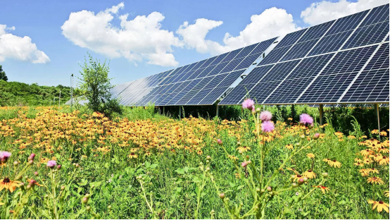 071767775310210511.png image.png